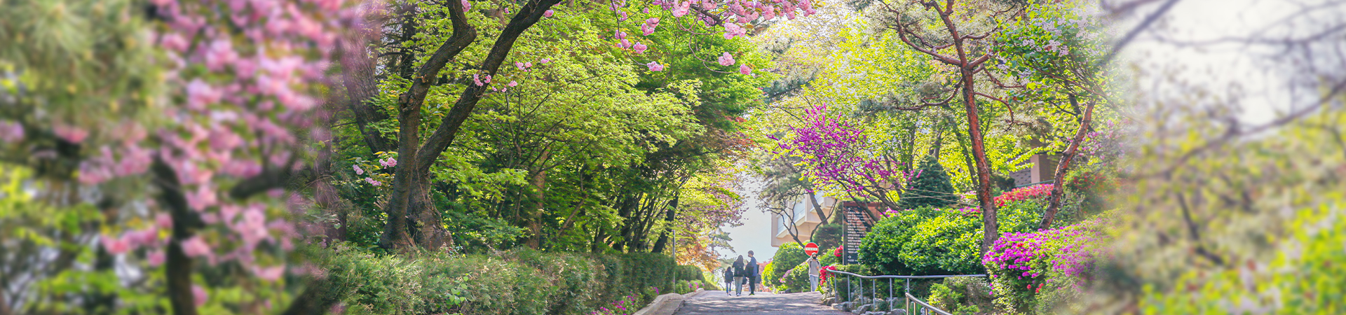 Global Korean Studies MAINVISUAL